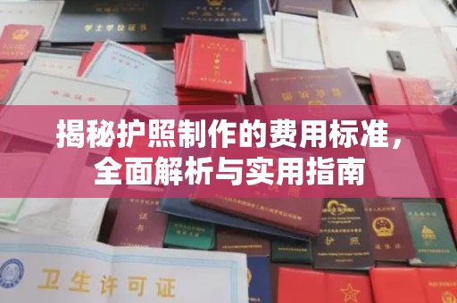 湖滨揭秘护照制作的费用标准，全面解析与实用指南