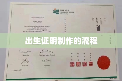 突泉出生证明制作的流程